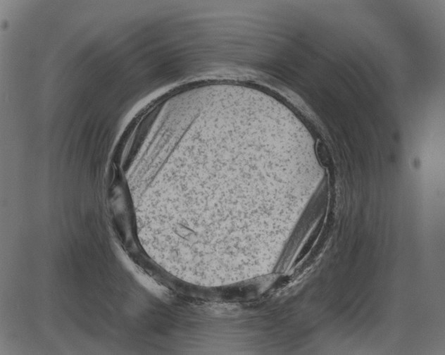 X0000087420838200705181420