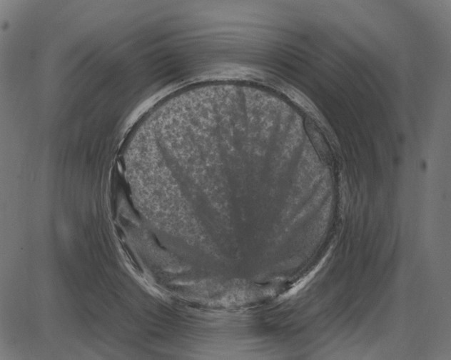 X0000087420842200705181421