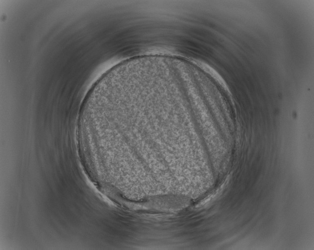 X0000087420847200705181421
