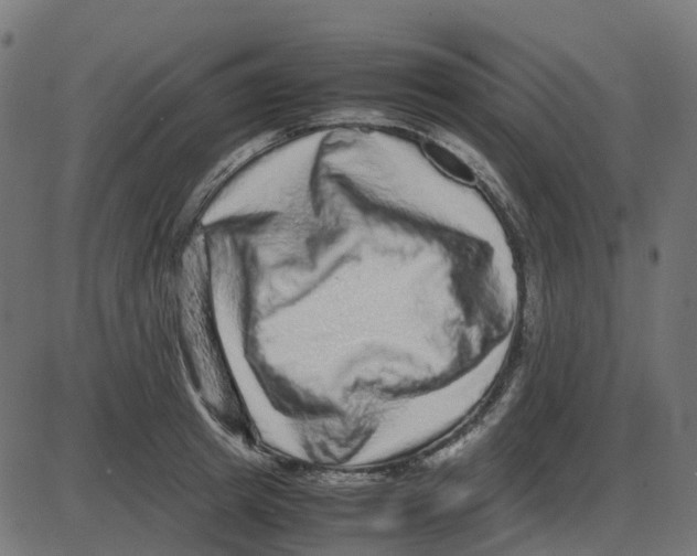 X0000087420849200705181421