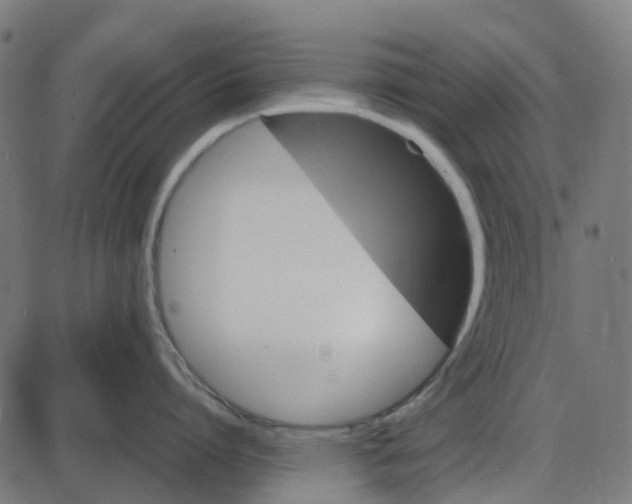 X0000087420864200705181421