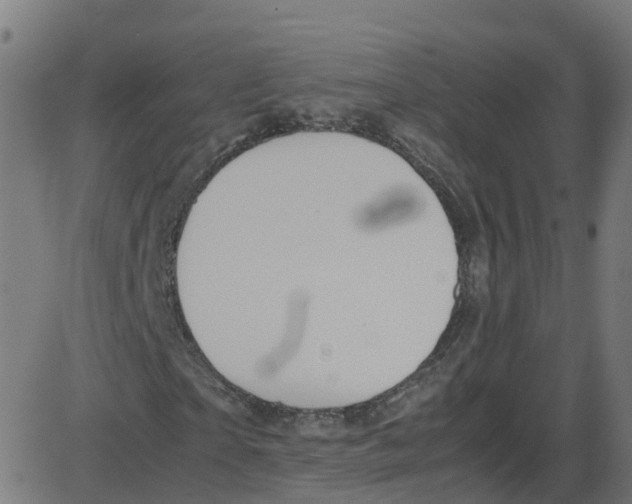 X0000087420865200705181420
