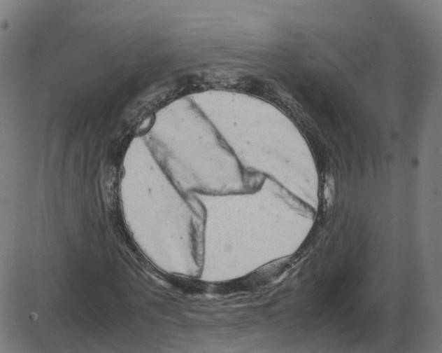 X0000087420867200705181420
