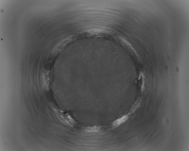 X0000087420868200705181420