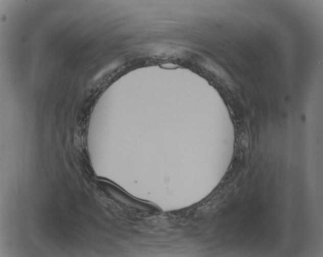X0000087420869200705181420