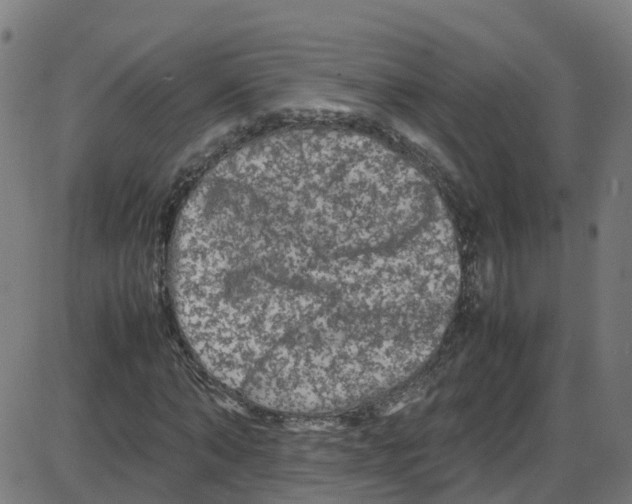 X0000087420870200705181420