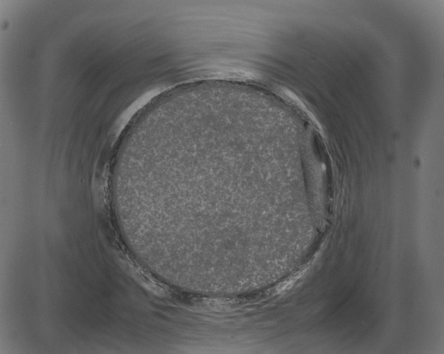 X0000087420875200705181420