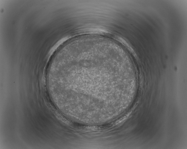 X0000087420883200705181420