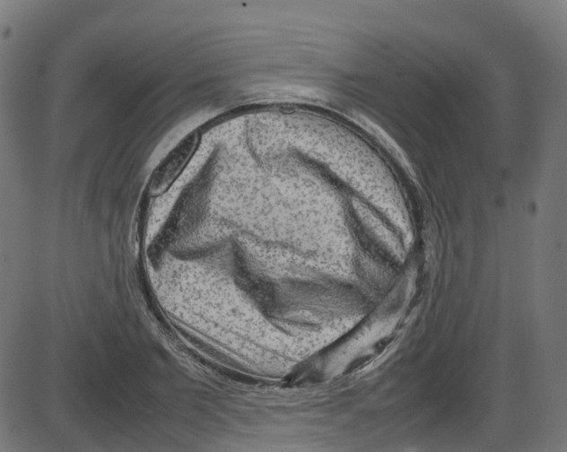 X0000087420885200705181420