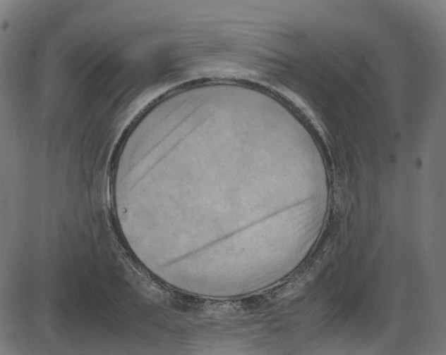 X0000087420887200705181420