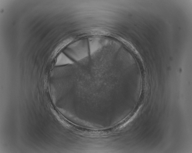 X0000087420889200705181420