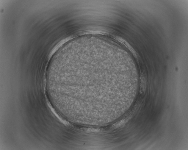 X0000087420890200705181420