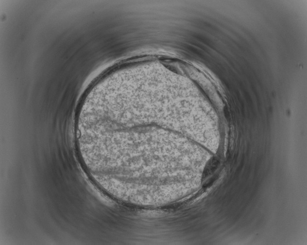 X0000087420894200705181420