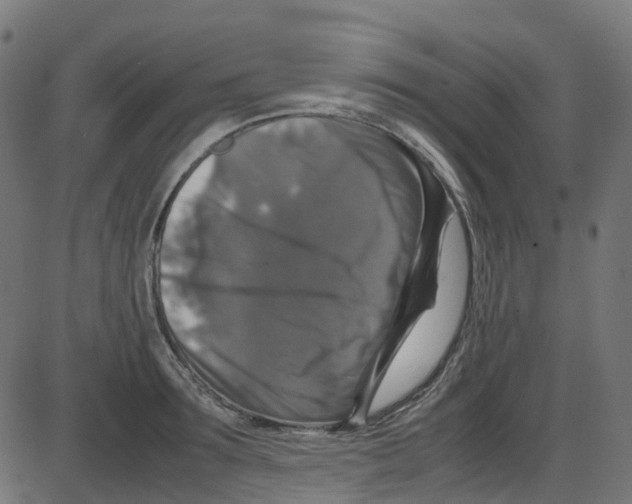 X0000087420899200705181420