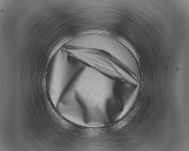 X0000087420906200705181419