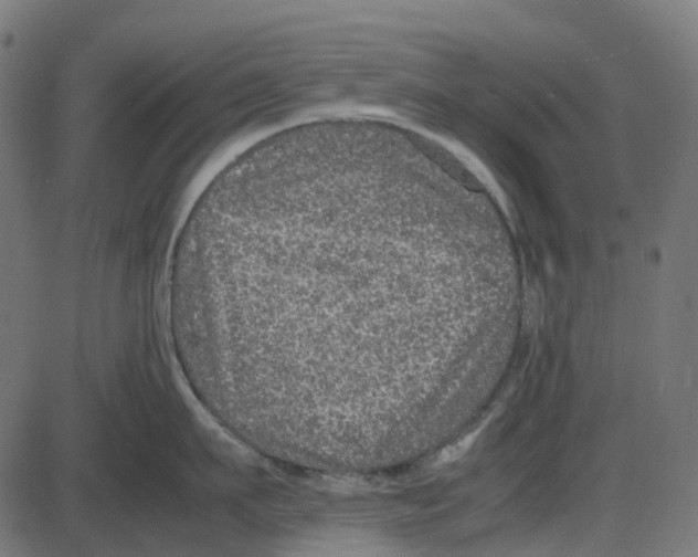 X0000087420911200705181419