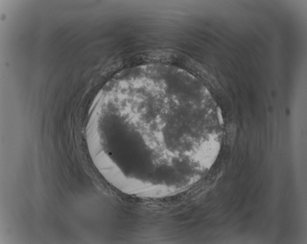 X0000087420913200705181419
