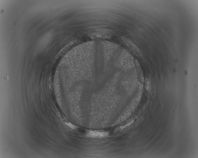 X0000087420915200705181419
