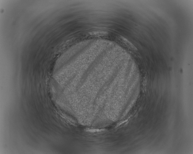 X0000087420917200705181419