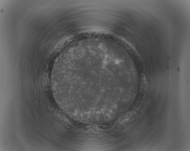 X0000087420918200705181419