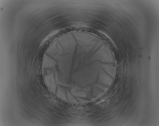 X0000087420919200705181419