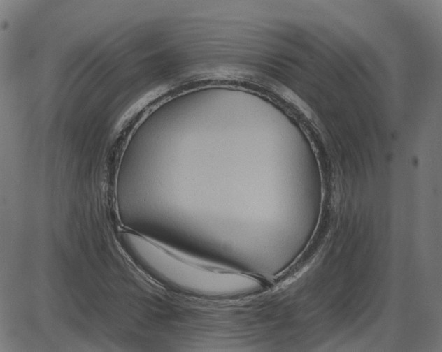 X0000087420922200705181419
