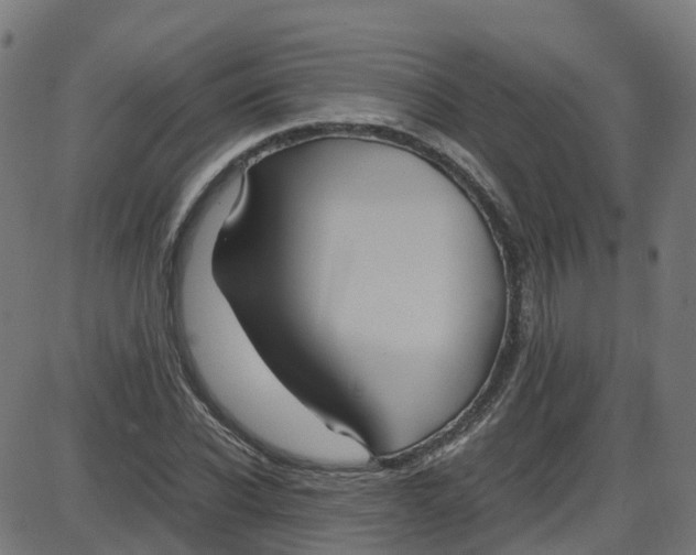 X0000087420926200705181419