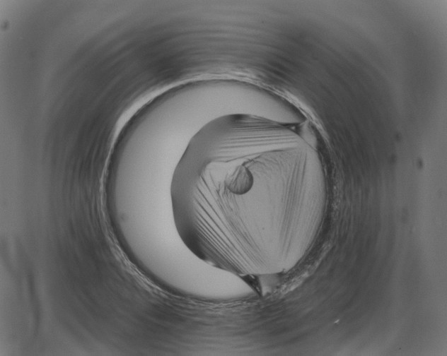 X0000087420928200705181419