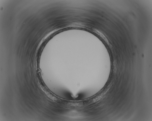 X0000087420931200705181419