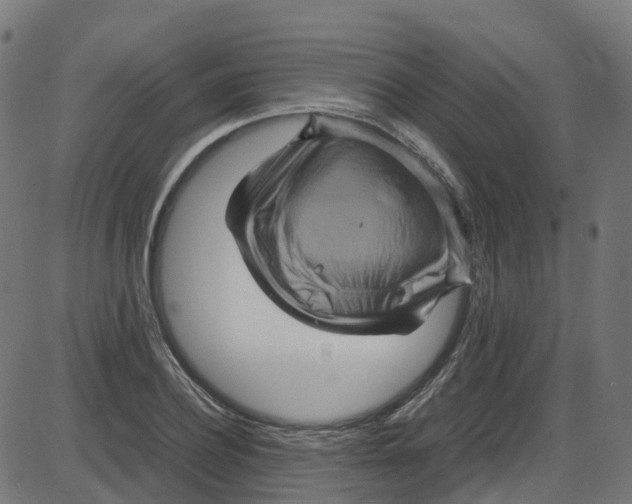 X0000087420932200705181419