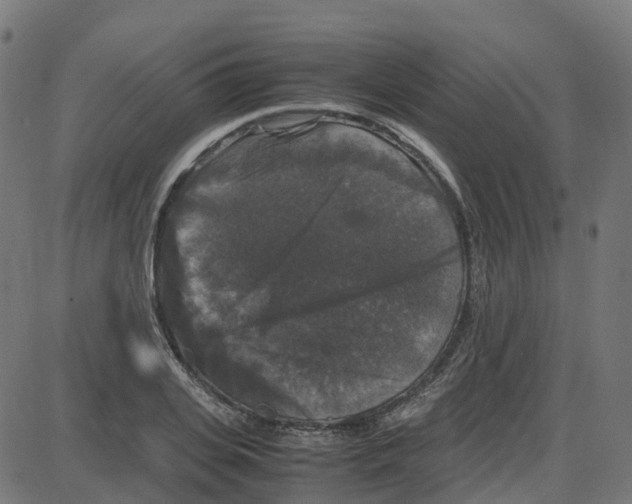 X0000087420935200705181419