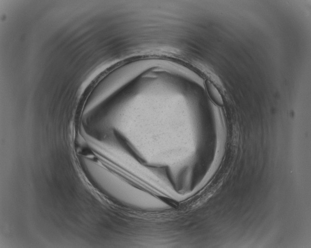 X0000087420936200705181419