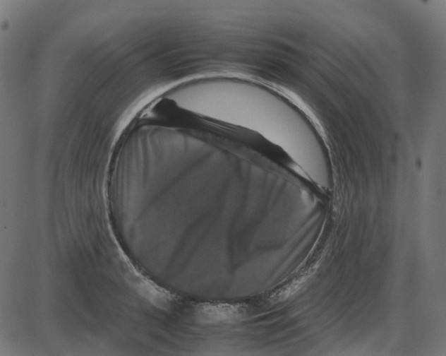 X0000087420943200705181419