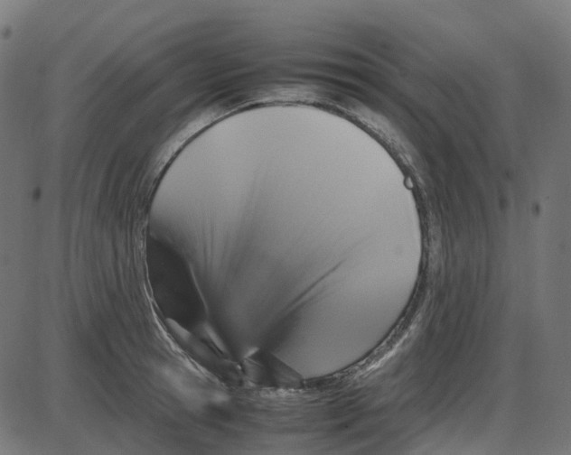 X0000087420945200705181419