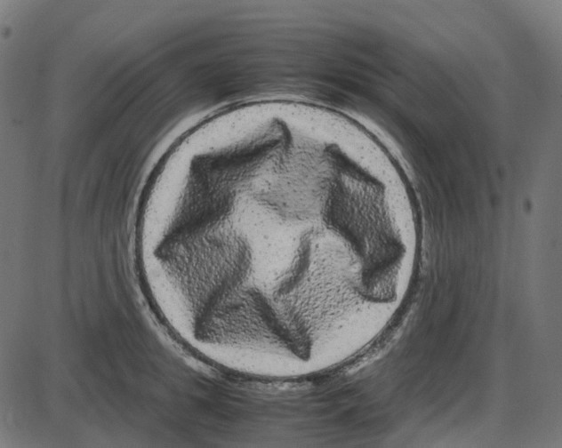 X0000087420949200705181419