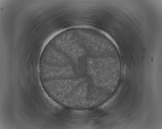 X0000087420951200705181419