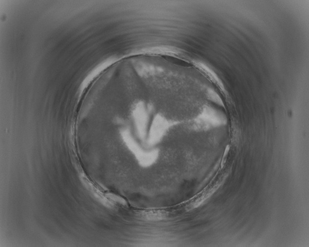 X0000087420952200705181419
