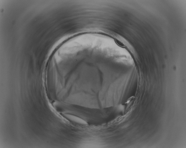 X0000087420958200705181419