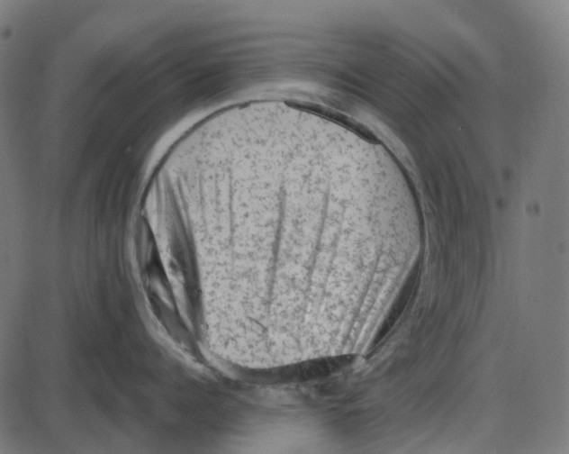 X0000087420960200705181419