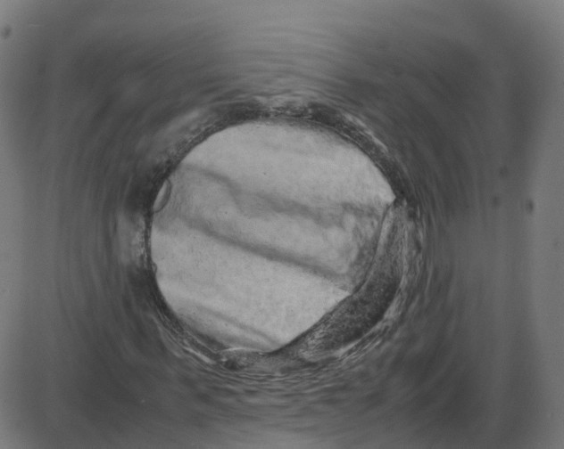 X0000087420963200705181418