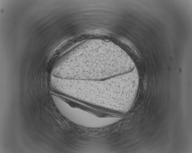 X0000087420968200705181418