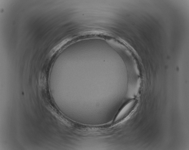 X0000087420969200705181418