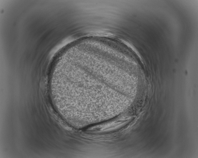 X0000087420971200705181418