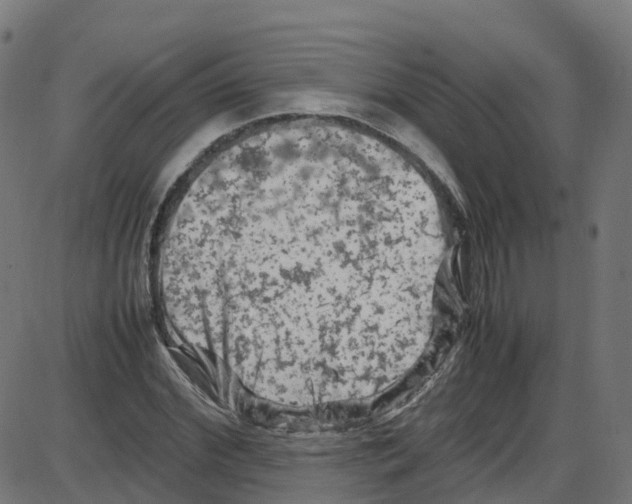 X0000087420972200705181418