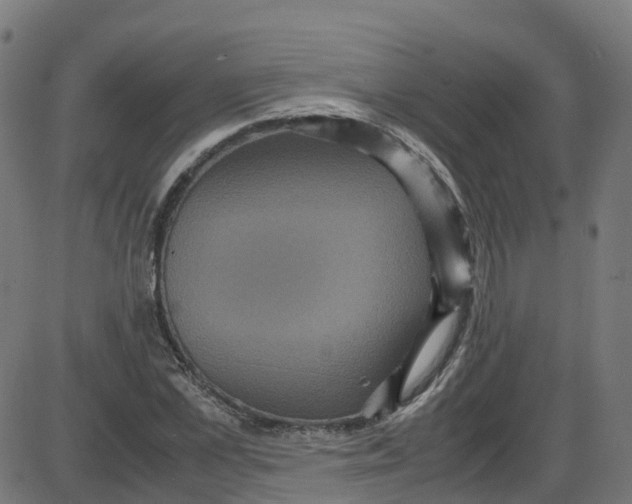 X0000087420973200705181418
