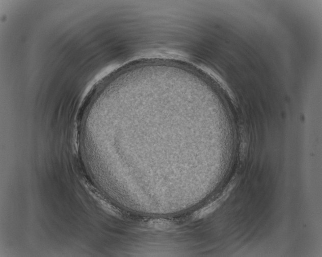X0000087420974200705181418