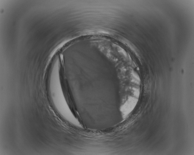 X0000087420975200705181418