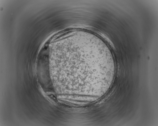 X0000087420976200705181418