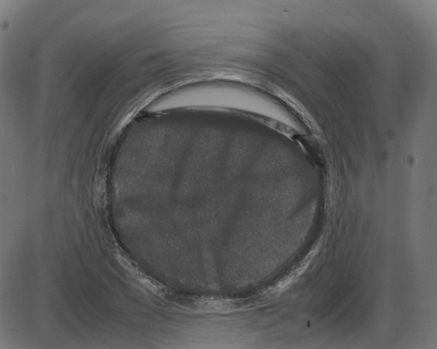 X0000087420977200705181418