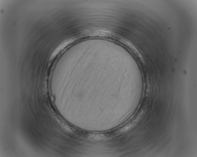 X0000087420978200705181418